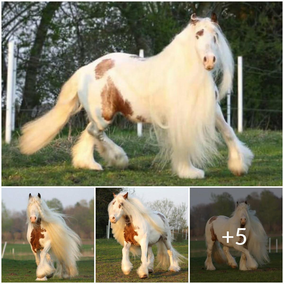 Cover Image for Captivating Souls: The Majestic Horse adorned with an Enchantingly Magnificent Mane